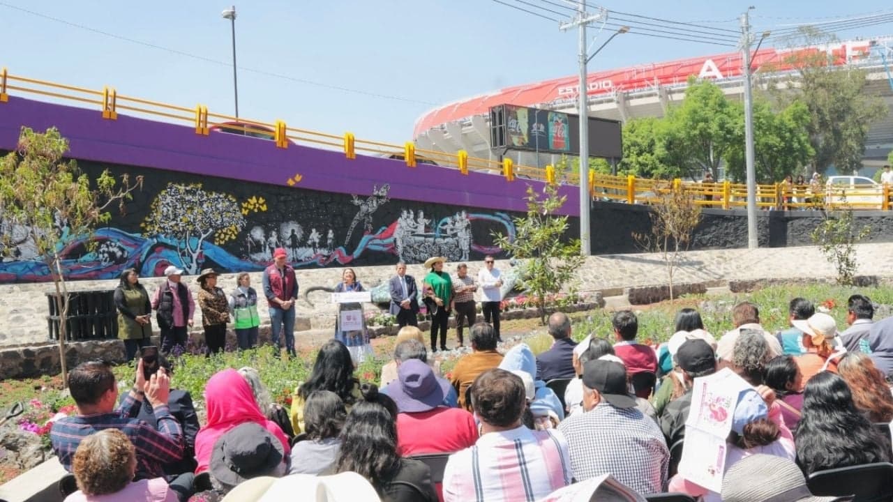 Jardín de Lluvia Coapan: ¿solución real o maquillaje?