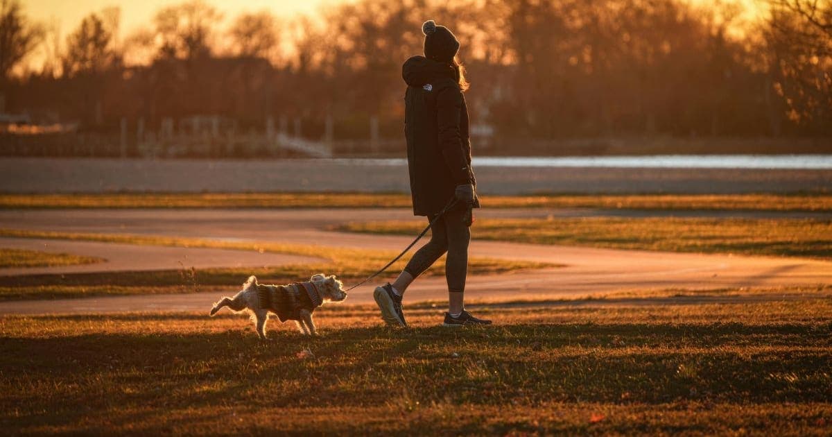 Caminar sin celular: la revolución silenciosa de la salud